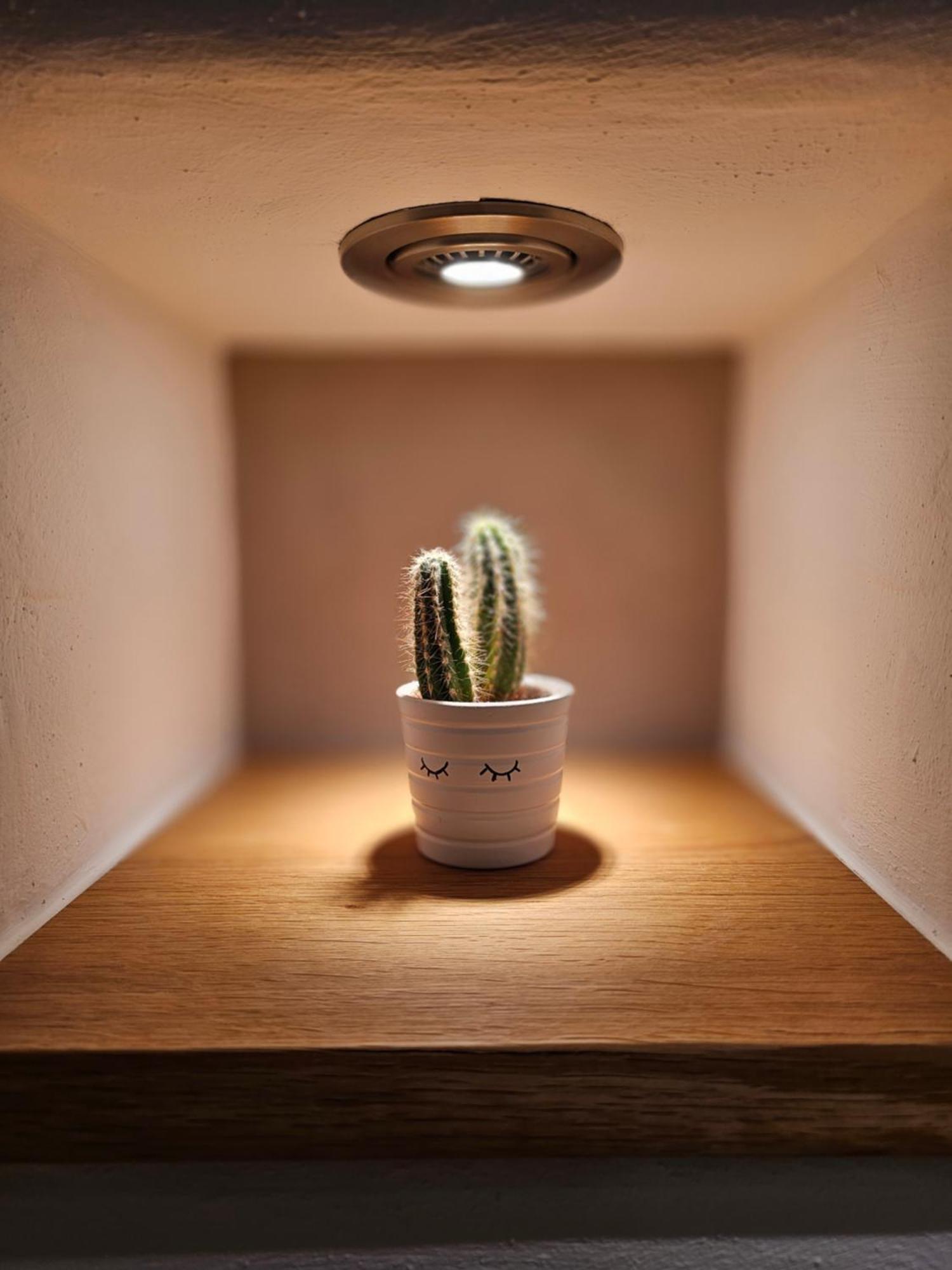 Ferienapartment Wilma Grunsfeld Kültér fotó